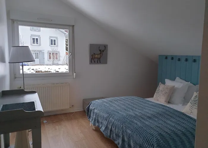 La Maison De Noemia A * Gérardmer